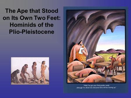 The Ape that Stood on Its Own Two Feet: Hominids of the Plio-Pleistocene.