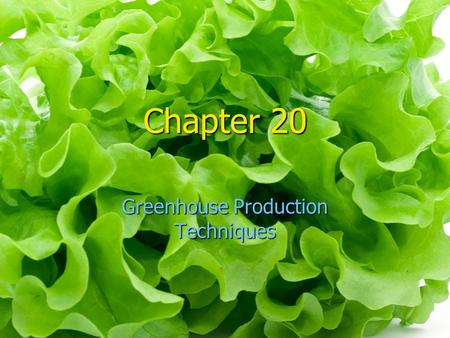 Chapter 20 Greenhouse Production Techniques. The production of greenhouse crops can be compare to the manufacture of non- plant items in one way: scheduling.