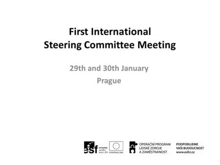 First International Steering Committee Meeting