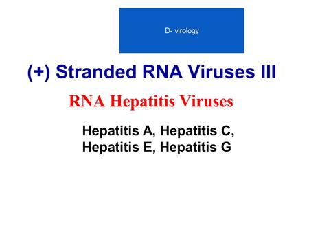 (+) Stranded RNA Viruses III