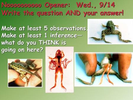 Noooooooooo Opener: Wed., 9/14 Write the question AND your answer!