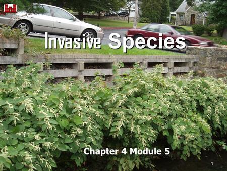 Invasive Species Chapter 4 Module 5 1. Invasive Species What are they? 1) non-native (or alien) to the ecosystem under consideration and 2) whose introduction.