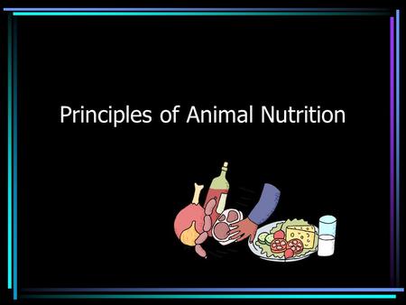 Principles of Animal Nutrition