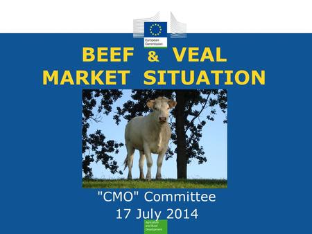 BEEF & VEAL MARKET SITUATION CMO Committee 17 July 2014.