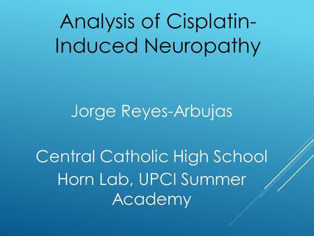 Jorge Reyes-Arbujas Central Catholic High School Horn Lab, UPCI Summer Academy Analysis of Cisplatin- Induced Neuropathy.