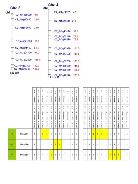 C2_At1g60640 12.5 C2_At1g78690 32.0 C2_At3g01160 83.4 C2_At2g04700 97.0 C2_At3g27310 138.0 Chr. 2 cM C2_At1g30580 0.0 C2_At4g21580 68.0 C2_At3g02300 118.0.