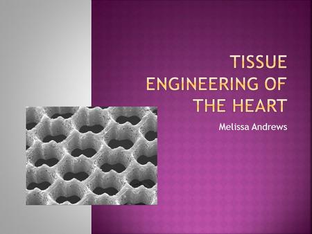 Melissa Andrews.  Combines cells, engineering, biology, and medicine  Repairs or replaces part of or whole tissues  It will likely revolutionize the.