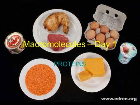 Macromolecules – Day 1 PROTEINS.