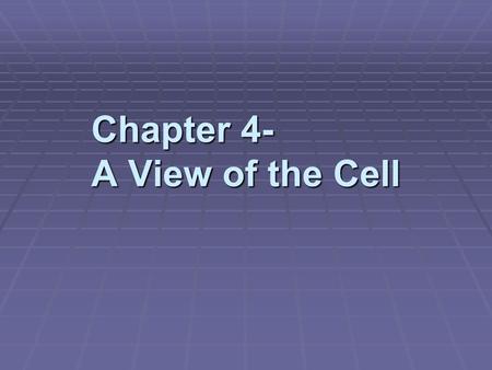 Chapter 4- A View of the Cell