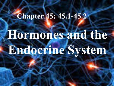 Hormones and the Endocrine System