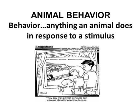 INNATE BEHAVIOR Inherited behavior Instincts & reflexes