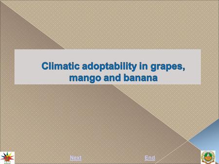 NextEnd.  Temperature, humidity and light are the important variables influencing growth and development of grapes.  Hot and dry climate is ideal. Areas.