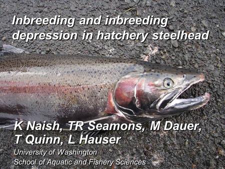 Inbreeding and inbreeding depression in hatchery steelhead K Naish, TR Seamons, M Dauer, T Quinn, L Hauser University of Washington School of Aquatic and.