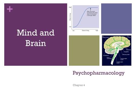 + Psychopharmacology Chapter 4 Mind and Brain. + Chapter Preview Principles of Psychopharmacology Sites of Drug Action Neurotransmitters and Neuromodulators.