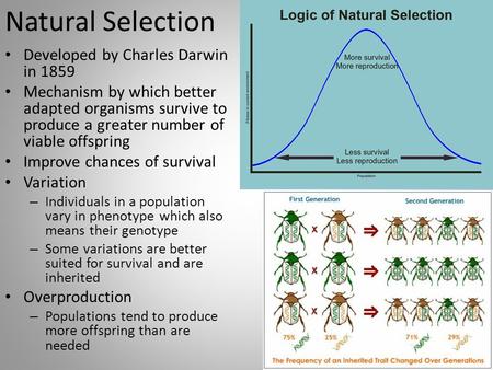 Natural Selection Developed by Charles Darwin in 1859