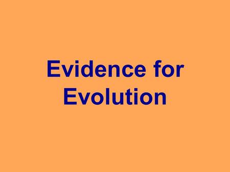 Evidence for Evolution. Fossil Record Evidence: Horse evolution four toes on ground (#2-5), short teeth good for eating soft leaves on shrubs & trees.