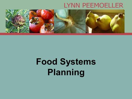 Food Systems Planning. What is a Food Systems Planner? Projects and Partners Policy: Chicago Food Policy Advisory Council Planning: Chicago Metropolitan.