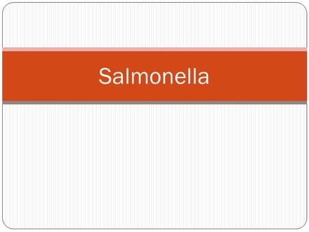 Salmonella.