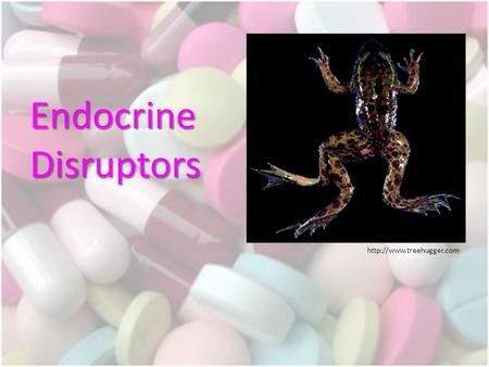 EndocrineDisruptors. Endocrine System A system of glands which secrete hormones into the bloodstream to regulate the body. Hormones.