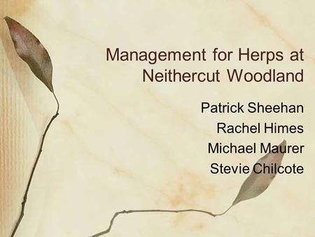 Management for Herps at Neithercut Woodland Patrick Sheehan Rachel Himes Michael Maurer Stevie Chilcote.