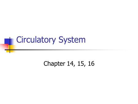 Circulatory System Chapter 14, 15, 16 The Heart’s Layers Endocardium – innermost layer, squamous layer Myocardium – thick middle layer, cardiac muscle.