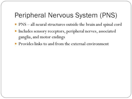 Peripheral Nervous System (PNS)