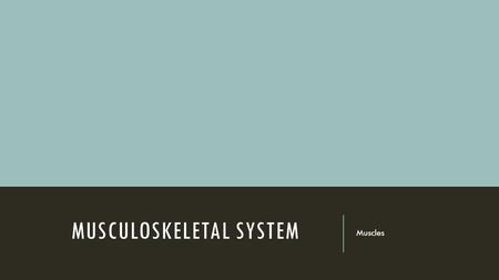 MUSCULOSKELETAL SYSTEM Muscles. TYPES Skeletal – forms the muscles attached to the skeleton - move the limbs and other body parts - long striated -