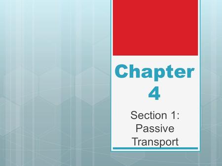 Section 1: Passive Transport