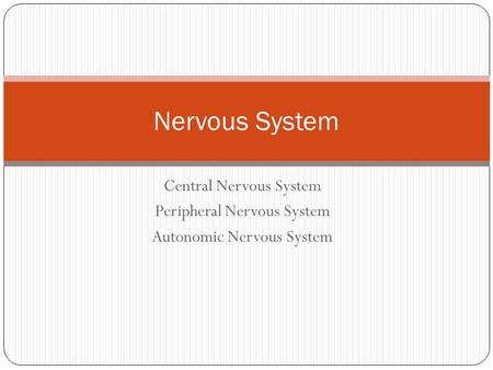 Central Nervous System Peripheral Nervous System Autonomic Nervous System Nervous System.