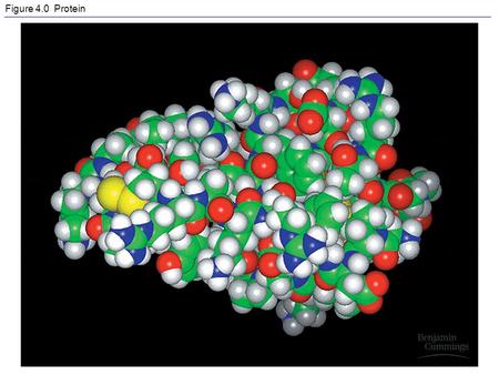 Figure 4.0 Protein Figure 4.1 Abiotic synthesis of organic compounds under “early Earth” conditions.