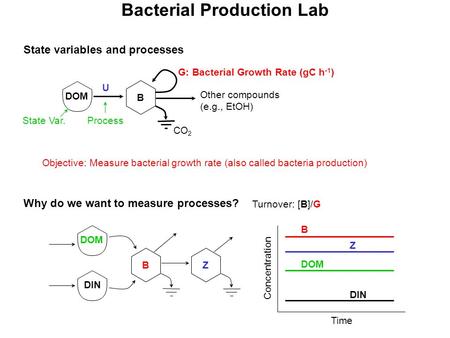 Bacterial Production Lab State variables and processes B DOM Other compounds (e.g., EtOH) CO 2 G: Bacterial Growth Rate (gC h -1 ) Why do we want to measure.