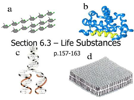 Section 6.3 – Life Substances