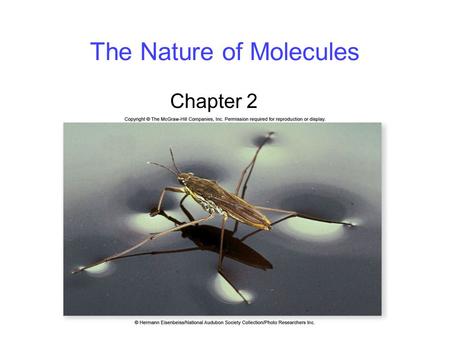 The Nature of Molecules