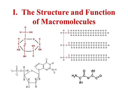 I. The Structure and Function of Macromolecules