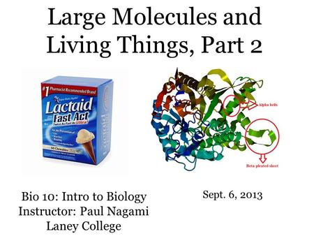 Bio 10: Intro to Biology Instructor: Paul Nagami Laney College