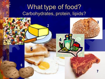 What type of food? Carbohydrates, protein, lipids?