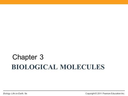 Chapter 3 Biological Molecules.