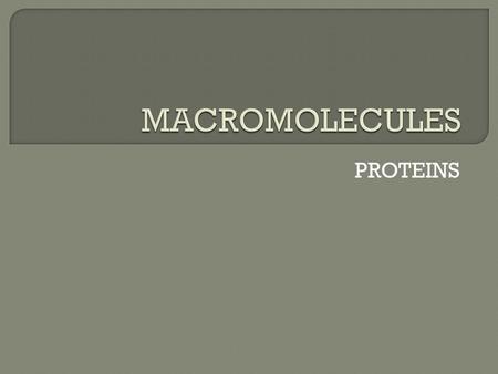 MACROMOLECULES PROTEINS.