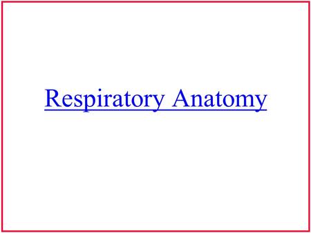 Respiratory Anatomy.