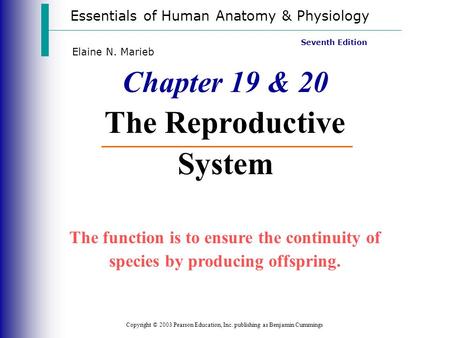 Essentials of Human Anatomy & Physiology Copyright © 2003 Pearson Education, Inc. publishing as Benjamin Cummings Seventh Edition Elaine N. Marieb Chapter.