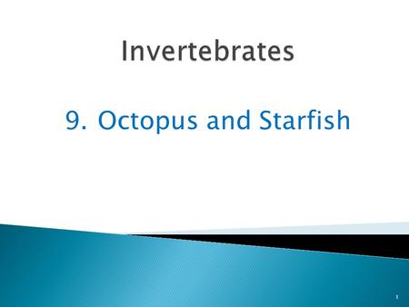 9.Octopus and Starfish 1. An octopus is a mollusk that has no shell at all 2 It looks as if it is all head and arms.