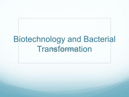 Biotechnology and Bacterial Transformation