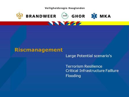 Riscmanagement Large Potential scenario's Terrorism Resilience Critical Infrastructure Faillure Flooding.