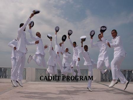 CADET PROGRAM Very good afternoon Ybhg Dato , ladies and gentlemen