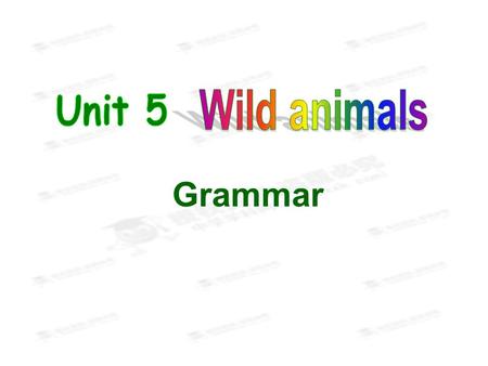 Grammar. closed bat bee lost get lost the same … as save adj. 关闭的 n. 蝙蝠 n. 蜜蜂 adj. 迷路的，迷失的 迷路 与 …… 同样 vt. & vi. 储存，节省 Words and expressions review.