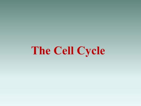 The Cell Cycle.