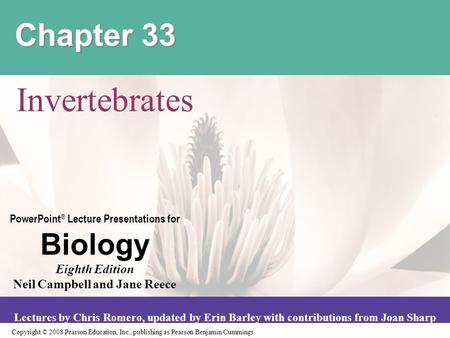 Chapter 33 Invertebrates.