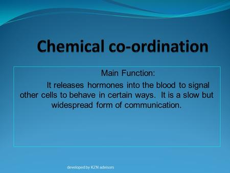 Main Function: It releases hormones into the blood to signal other cells to behave in certain ways. It is a slow but widespread form of communication.