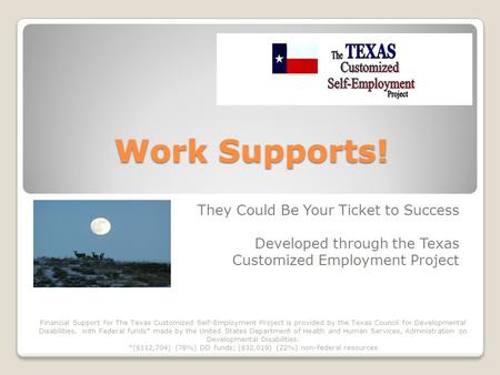 Work Supports! They Could Be Your Ticket to Success Developed through the Texas Customized Employment Project Financial Support for The Texas Customized.