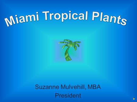 Our partner Mulvehill Nursery, Inc. 36 years in business 45 acres of production 30+ plant varieties 8+ pot sizes.